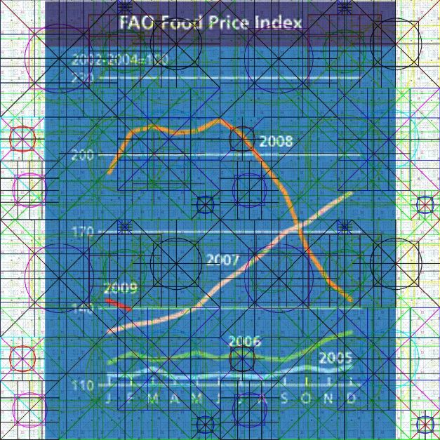 Statistiche FAO + Matrice