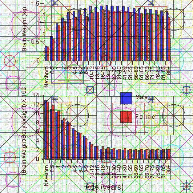 Statistica Cervello - Masch. Fem.+ Matrice