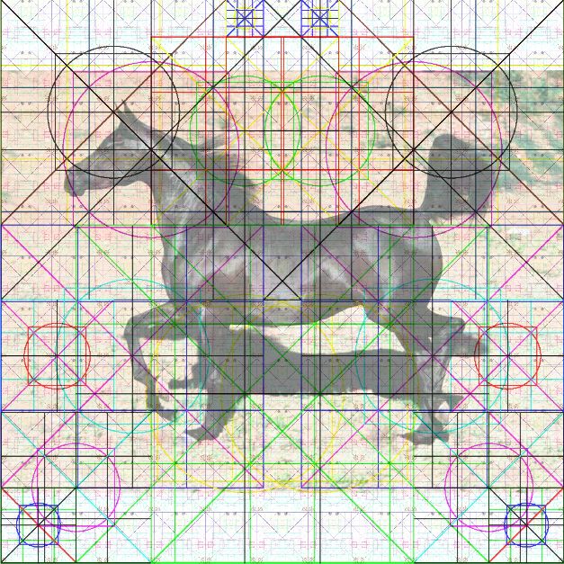 Studio Cavallo 